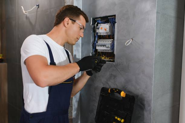 Best Electrical Rewiring Services  in Steelevle, IL