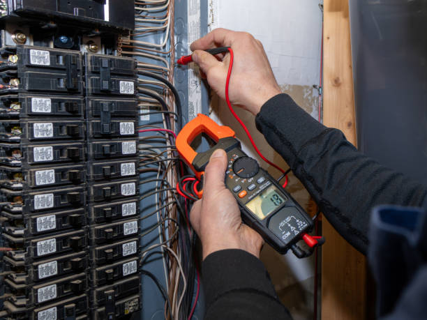 Best Electrical Troubleshooting Services  in Steelevle, IL